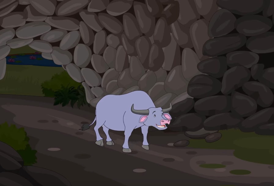 a buffalo in the cave